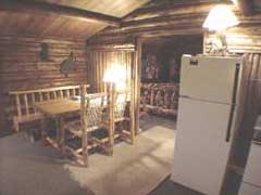 Small Cabin Kitchen